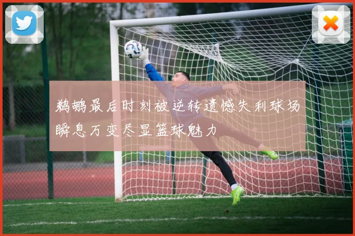鹈鹕最后时刻被逆转遗憾失利球场瞬息万变尽显篮球魅力