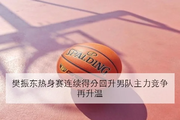 樊振东热身赛连续得分回升男队主力竞争再升温
